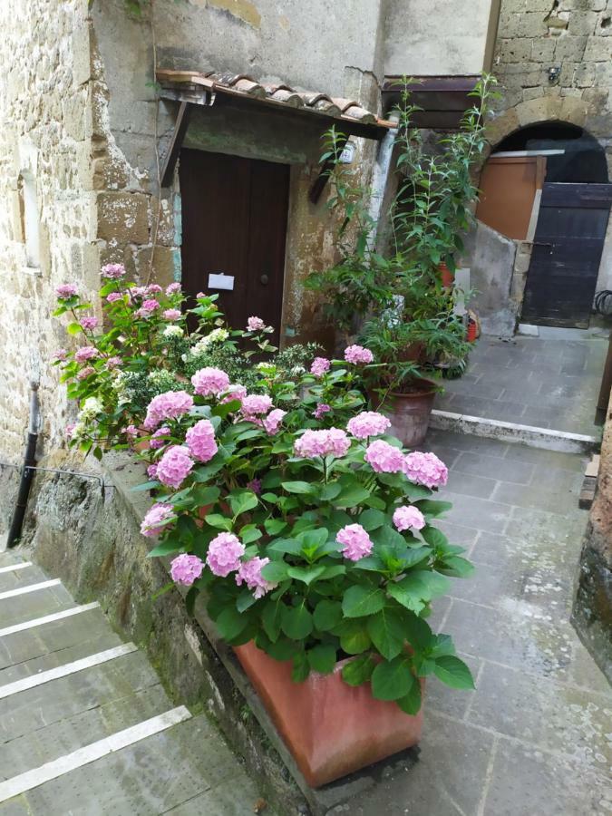 Mozzafiato Pitigliano Daire Dış mekan fotoğraf